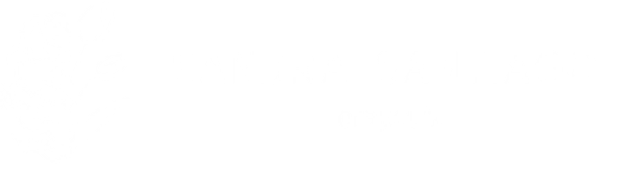 Sandra Santiago Farias